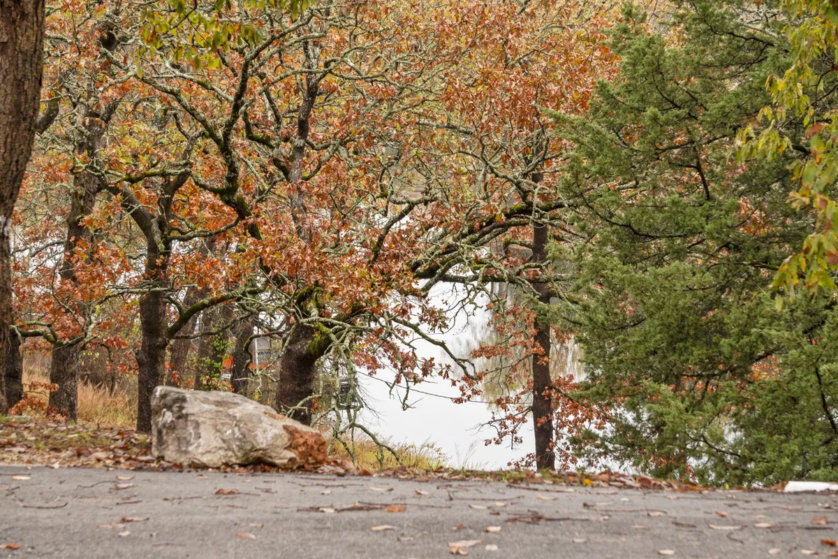 A peaceful view with leafless branches, a large rock, and a vista of the lake—suggesting nearby walking trails and natural exploration. The mood is tranquil and reflective, evoking the experience of lakeside strolls and wildlife observation.